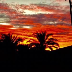 Meet your Posher, Carol